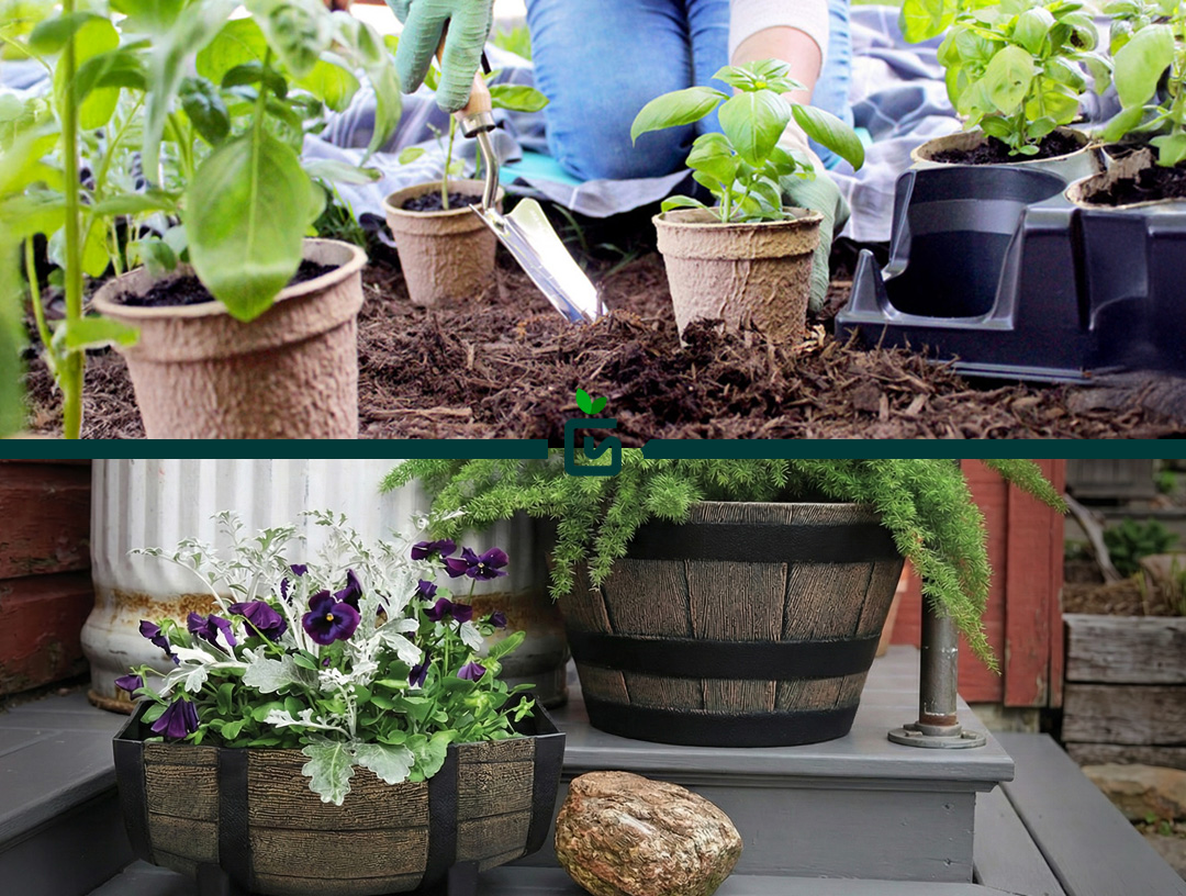Growscape Containers
