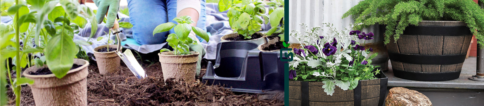 Growscape Containers