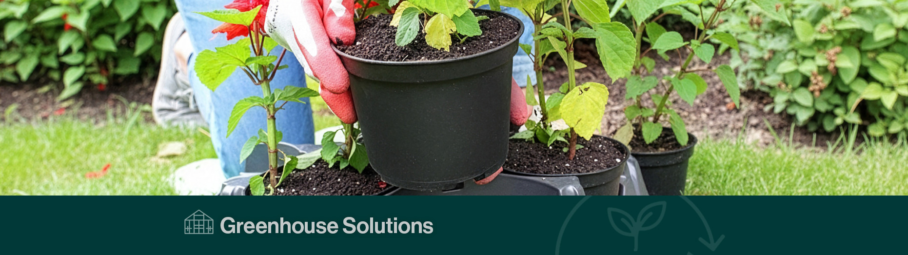 Greenhouse Solutions