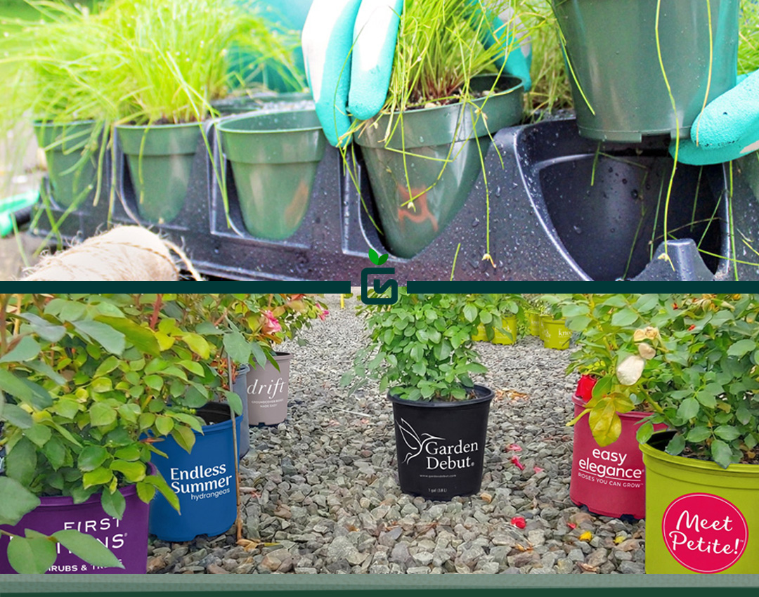 Growers Solutions