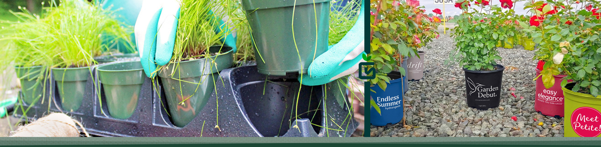 Growers Solutions