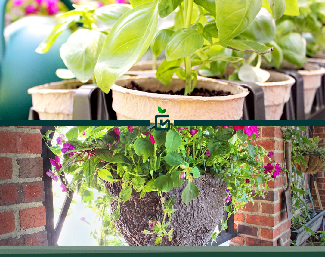 Sustainability at Growscape