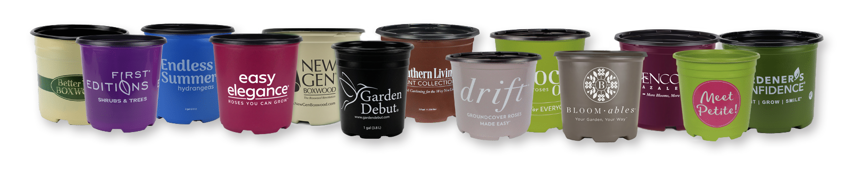 Branded Samples