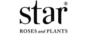 Star Roses and Plants Brand