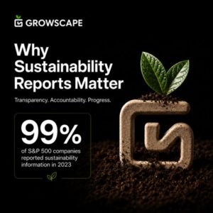 Why Sustainability Reports Matter
