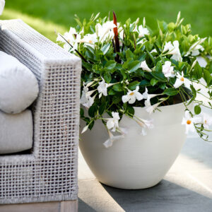 Decorative Containers
