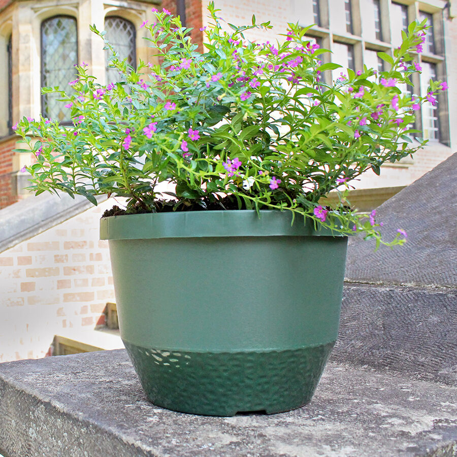 Decorative Containers