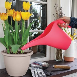 Essential Watering Can