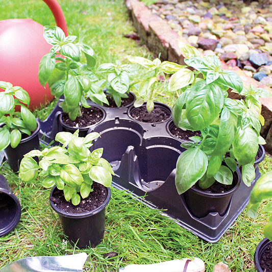 Greenhouse Round Planters