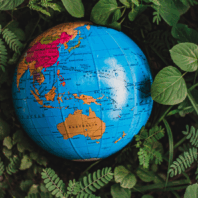 Global Delivery