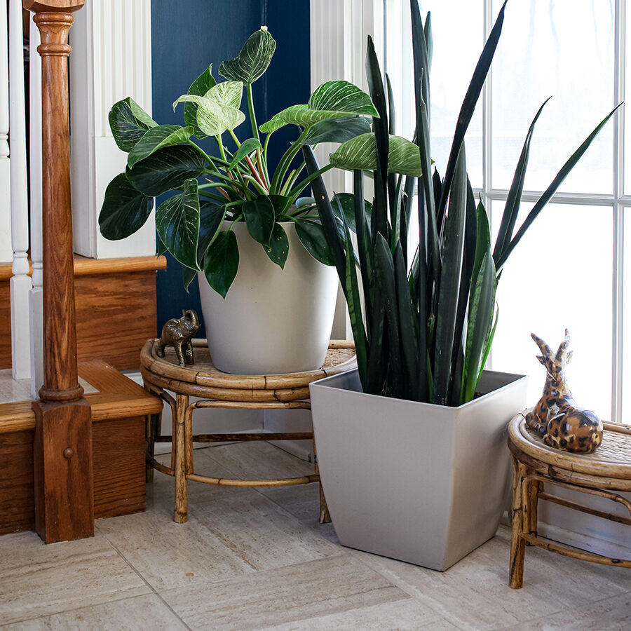 HydroTwist® Self-Watering System