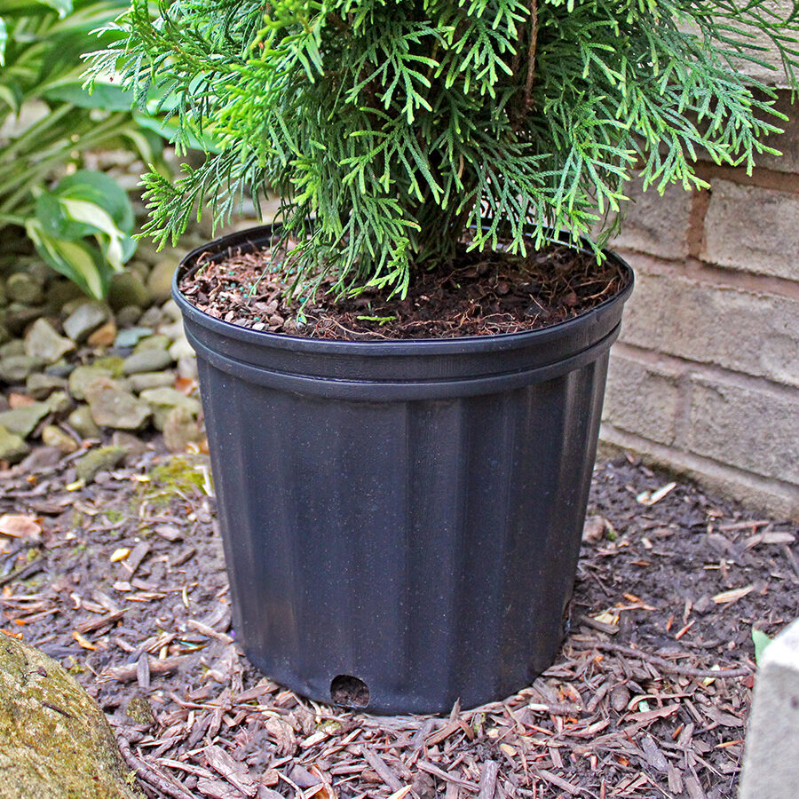 Round Growing Containers