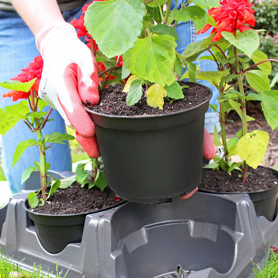 Round Growing Containers