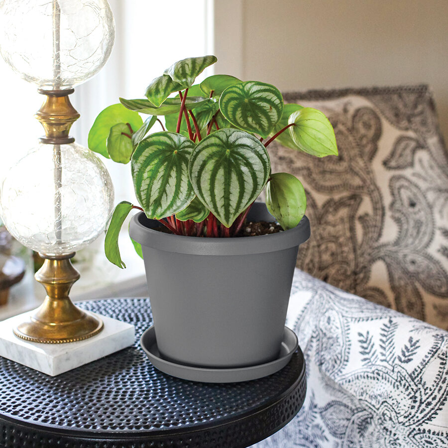 Round Planters