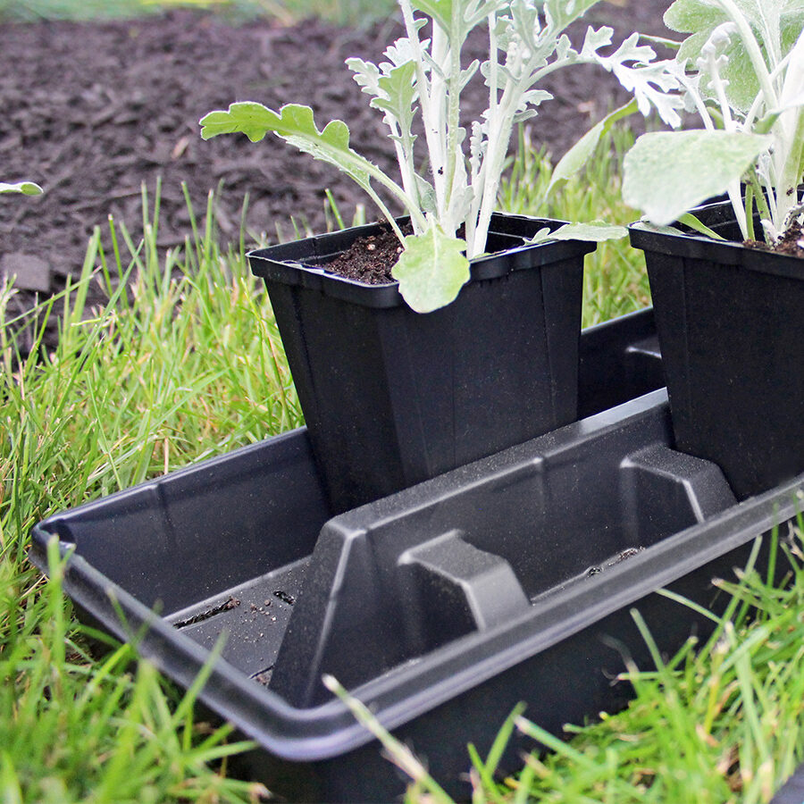 Trays for Containers