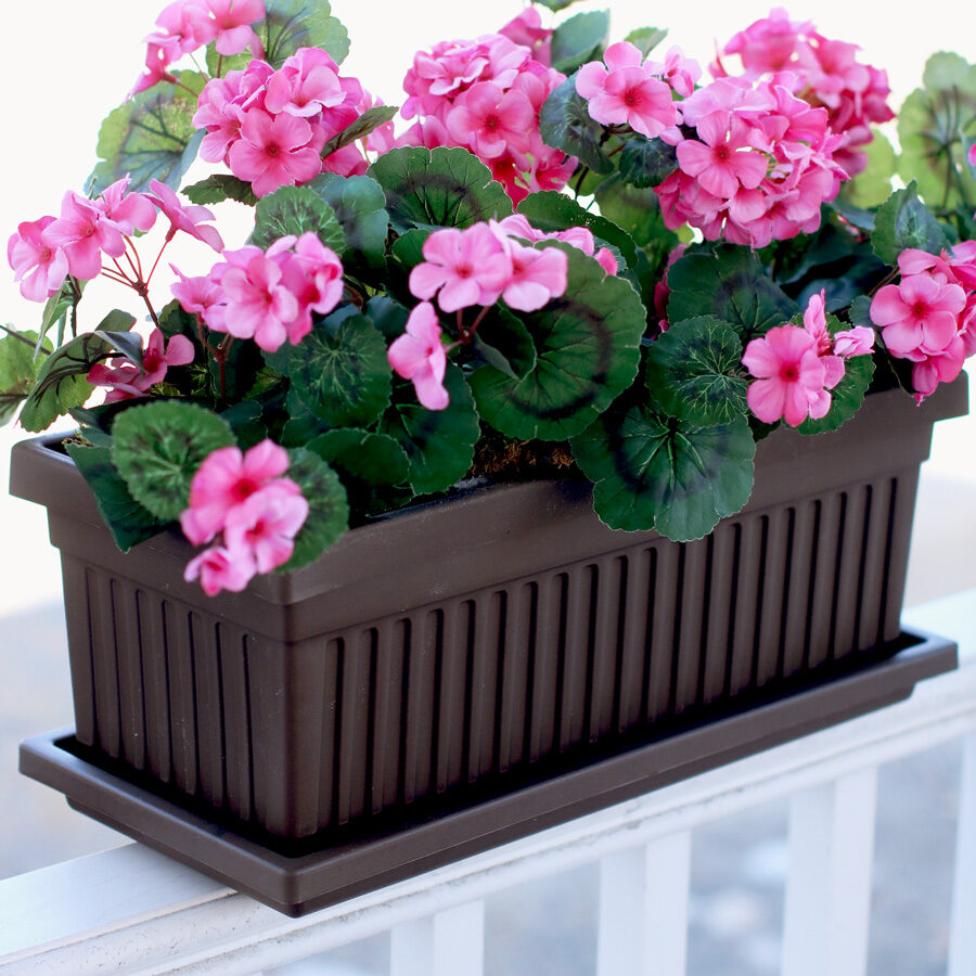 Window Boxes