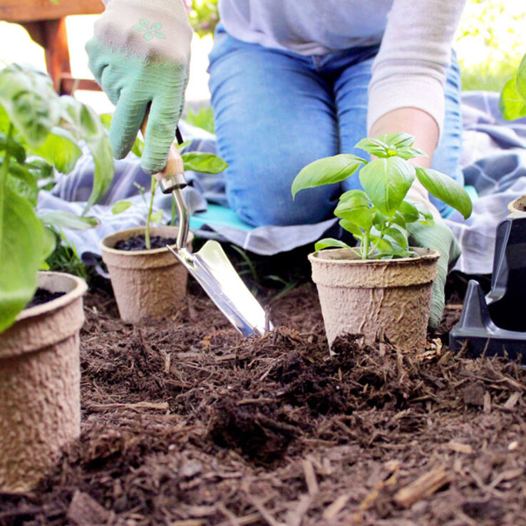 Sustainability
